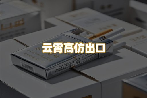 云霄高仿出口